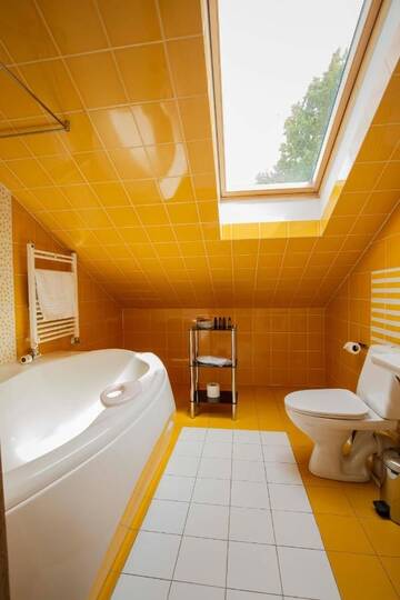 Фото номера Люкс Отель Boutique Hotel Roze г. Лиепая 9